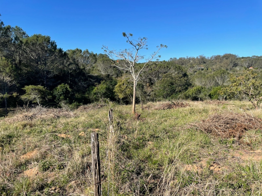 0 Bedroom Property for Sale in Bathurst Eastern Cape